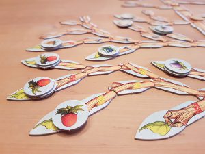 Bild: Baumausschnitt mit Zweigen, Knospen und Früchten