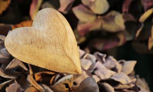 Bild: Herz aus Holz in freier Natur liegend