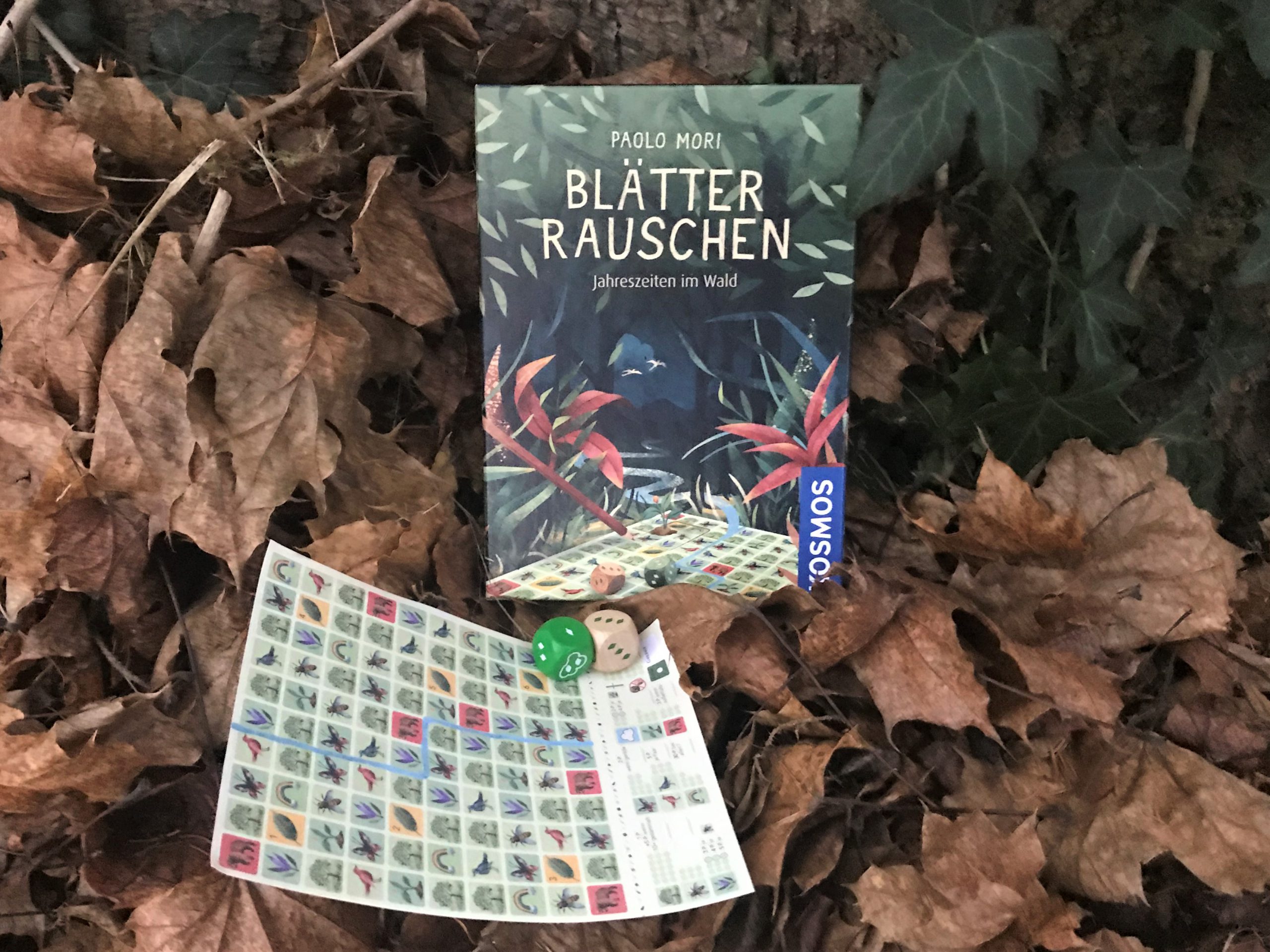 Spieleschachtel im Herbstlaub
