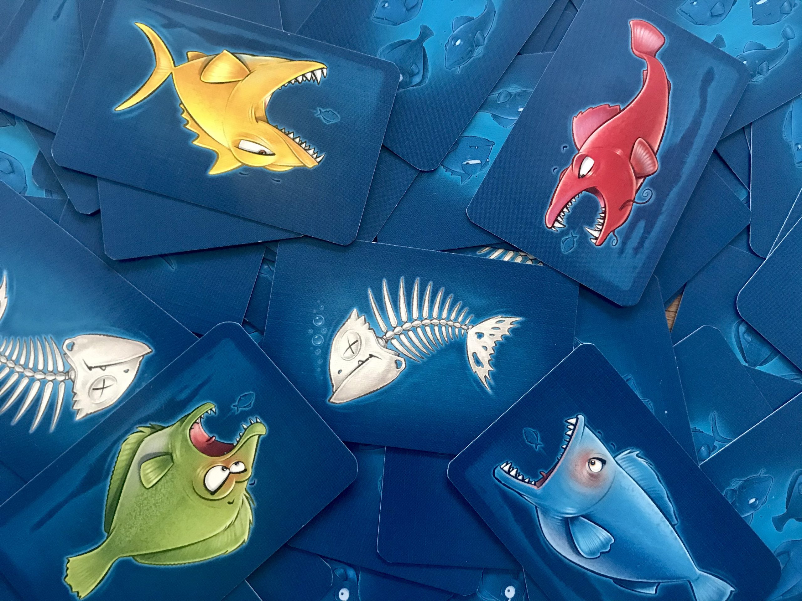 Vier Fische der vier verschiedenen Farben gruppieren sich um eine Fischgräte