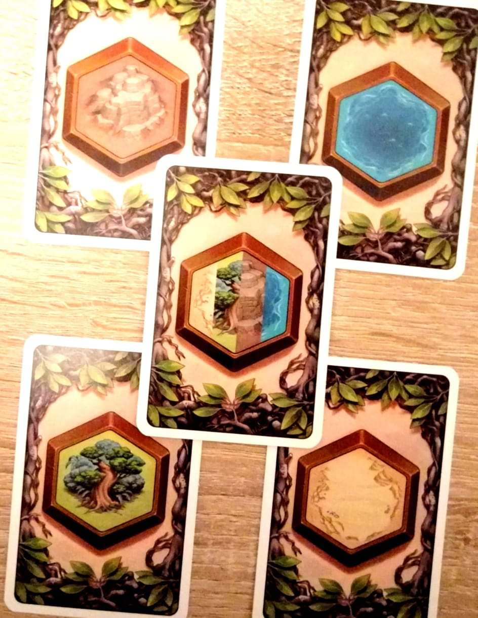 Die vier möglichen Geländekarten mit Berge, Wasser, Wald und Wüste, sowie die Jokerkarte