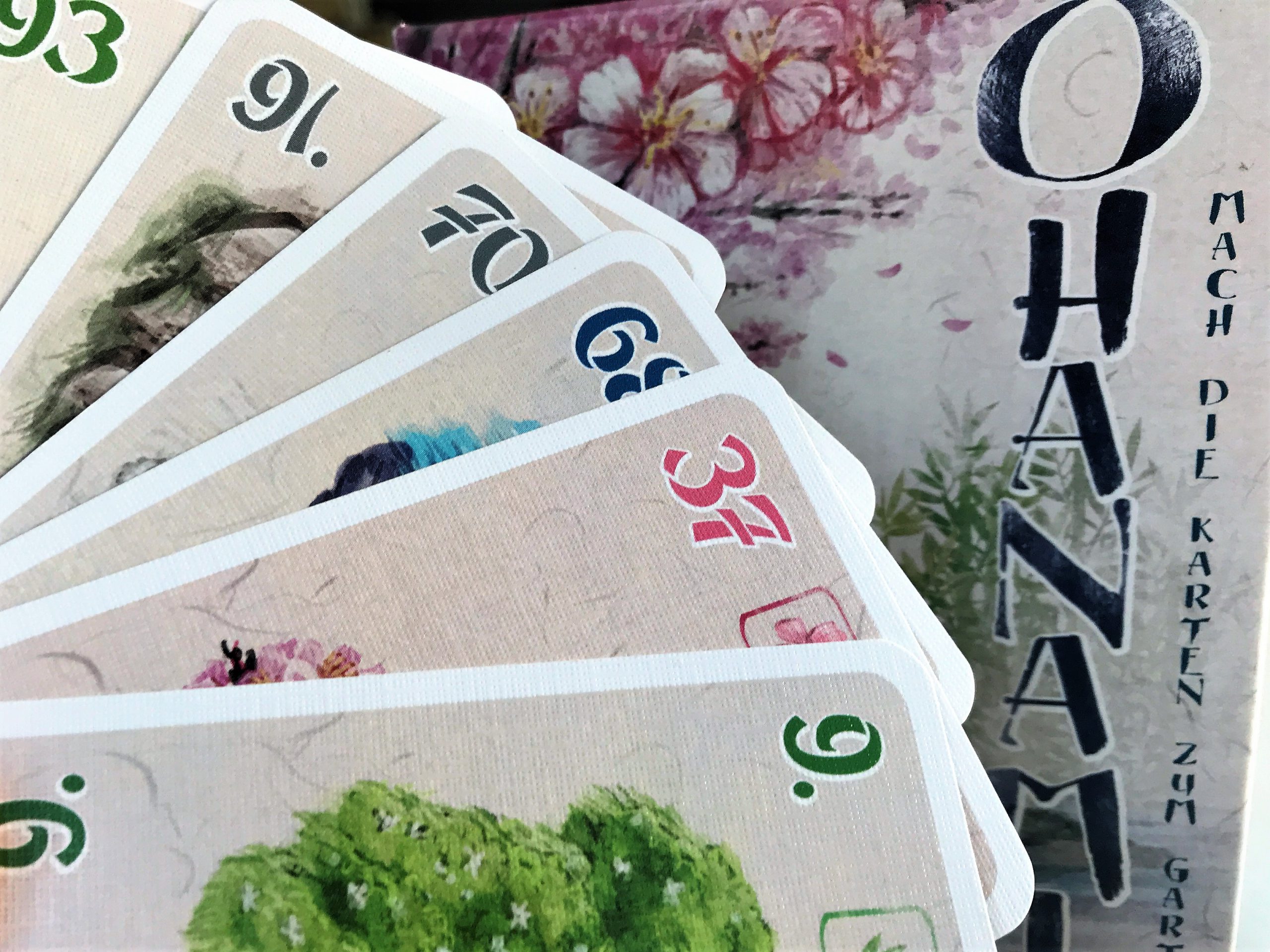 Im Vordergrund die Kartenhand, im Hintergrund das Cover der Spieleschachtel