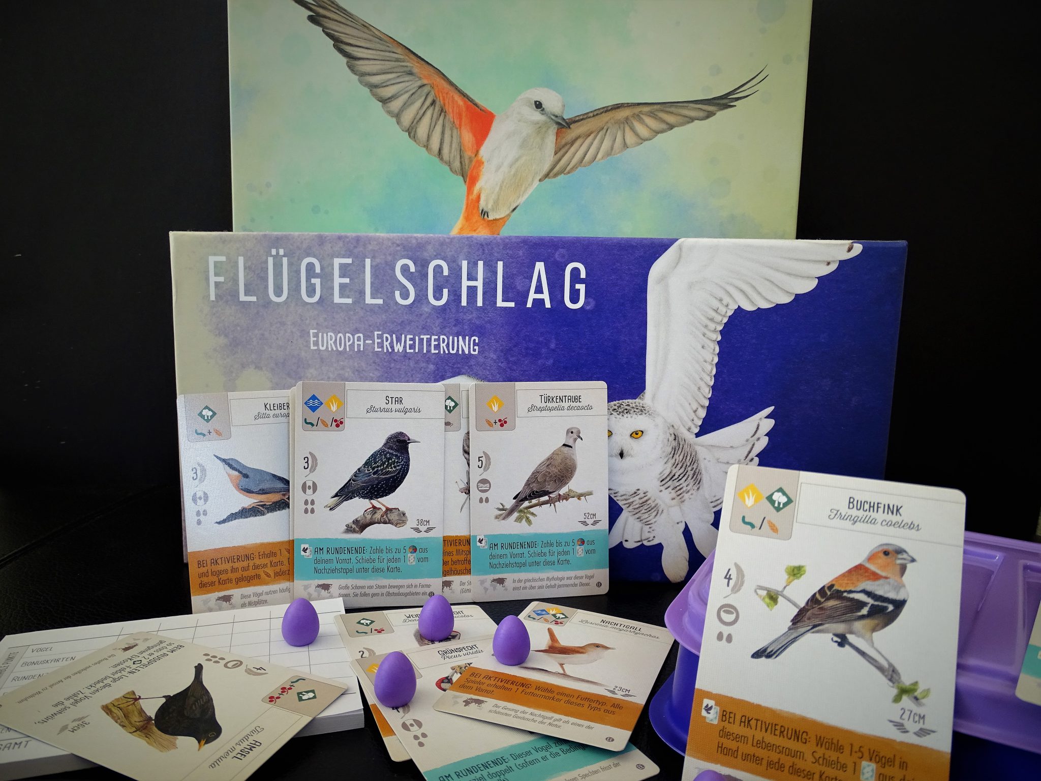 Der Star ist der Star - Flügelschlag: Europa-Erweiterung von Feuerland