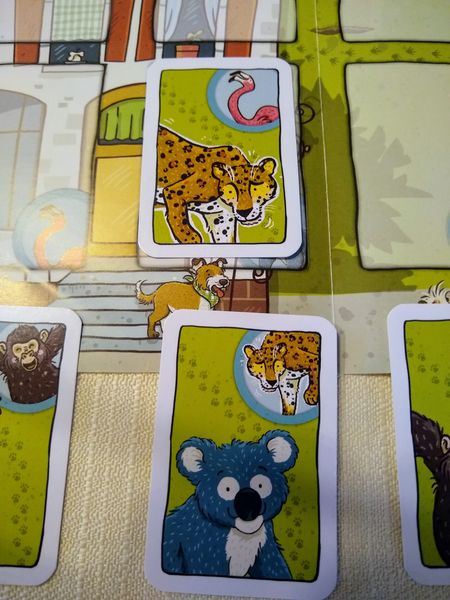Leopard passt , die nächste Karte ist der Flamingo!
