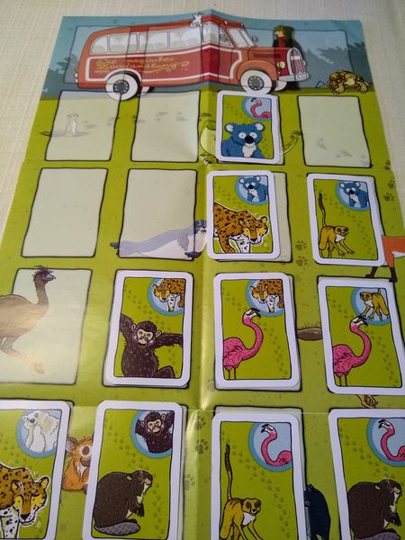 Der Koala ist Erster!