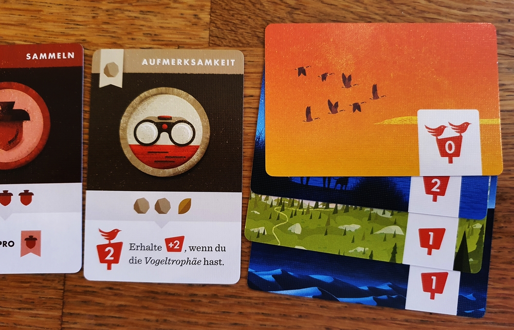 Zwei Karten Auszeichnung, vier Fotokarten, jeweils mit abgebildeten Vögelchen und Siegpunkten