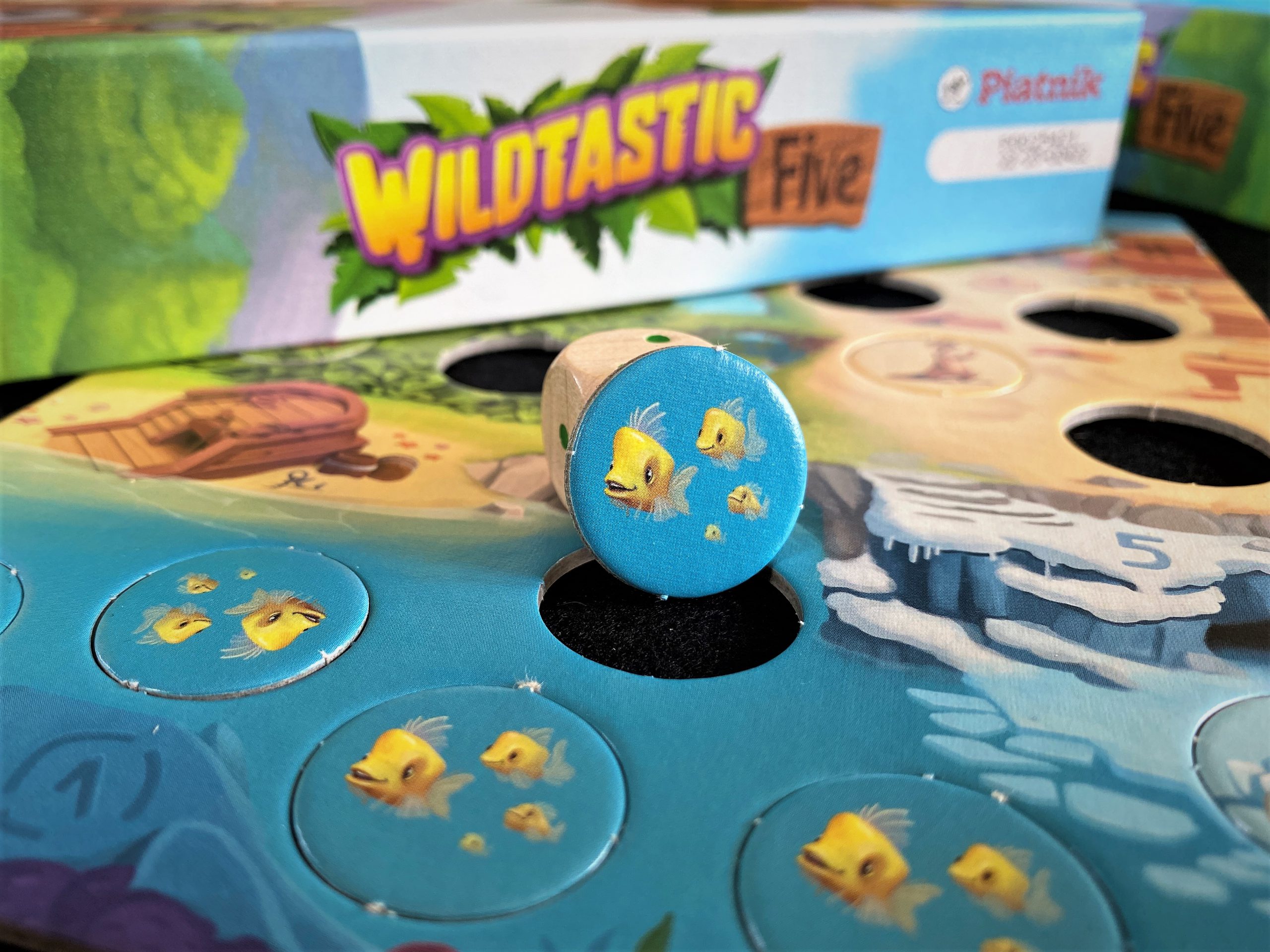 Ein Fischchip wird in die korrekte Zone eingesetzt. Im Hintergrund sieht man die Schachtel im Anschnitt.