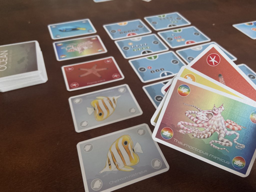 Auslage der Karten und Handkarten eines Spielers