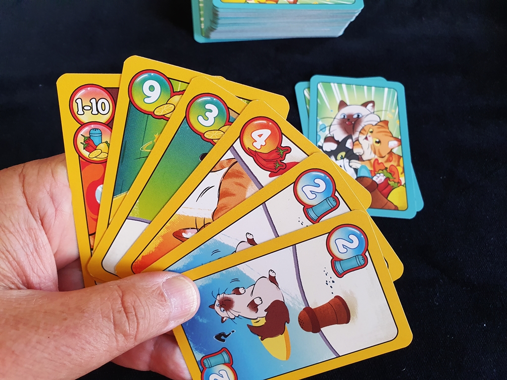 Die Start-Kartenhand mit fünf Tierkarten und einem Super-Joker