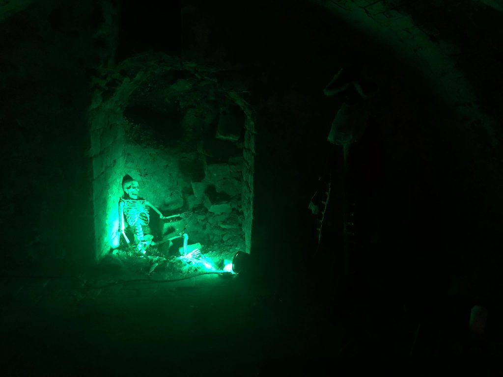 Eins Skelett in der Gruft