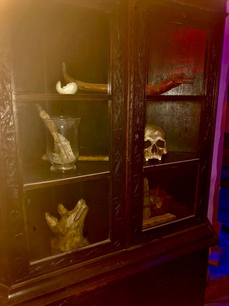 Eine Uralte Vitrine mit schaurigem Inhalt