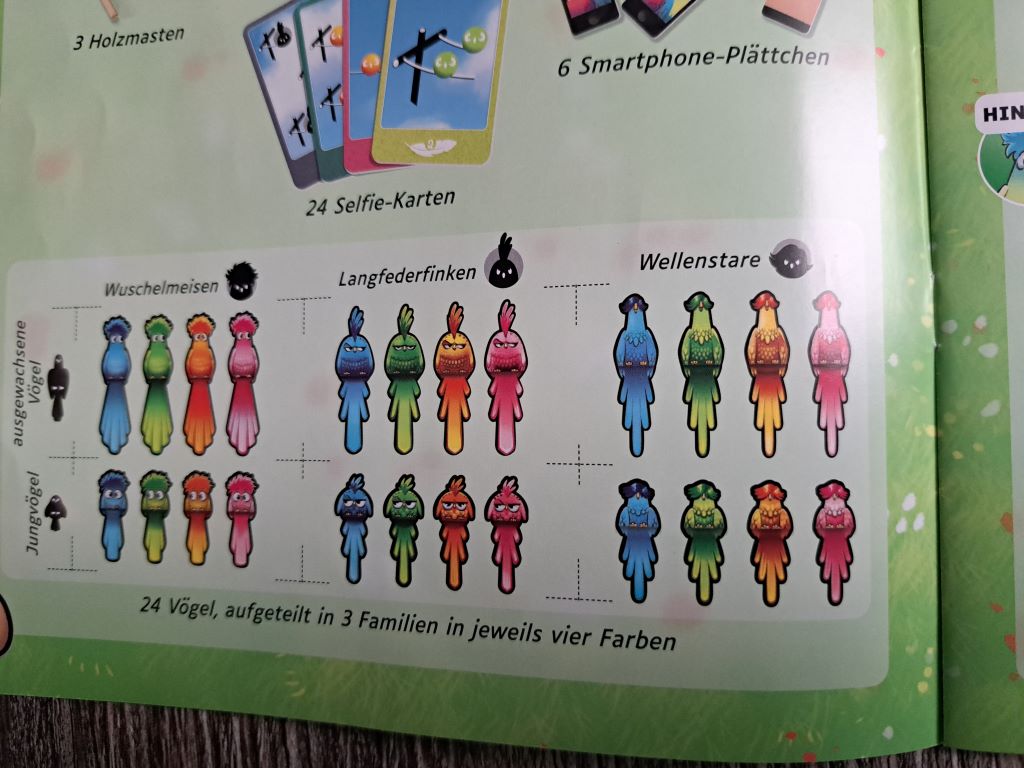 Überblick über die Vogelfamilien.