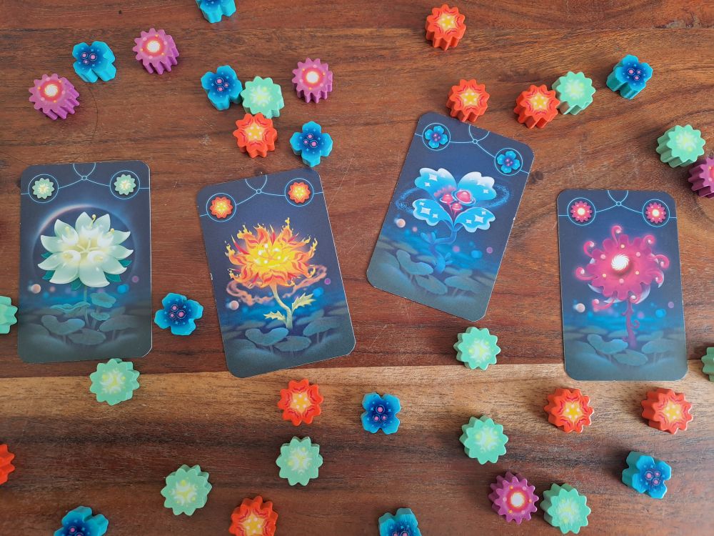 Spielmaterial und Spielkarten aus der Nähe betrachtet