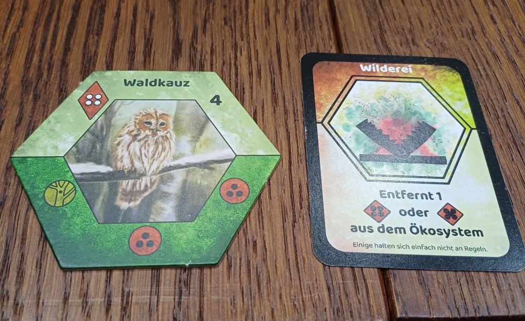 Ereigniskarte Wilderei und leider daran gestorbenes Tier: Waldkauz