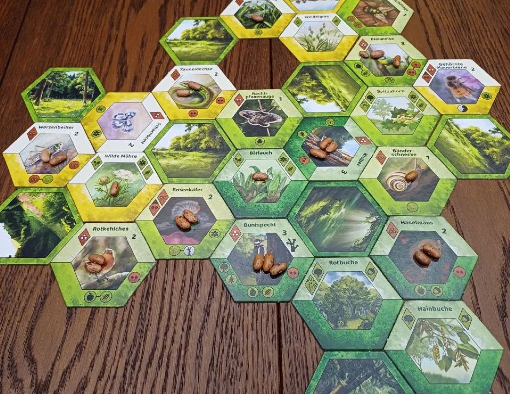 Fertiges Spiel mit sechseckigen Naturkarten und Siegpunktbohnen