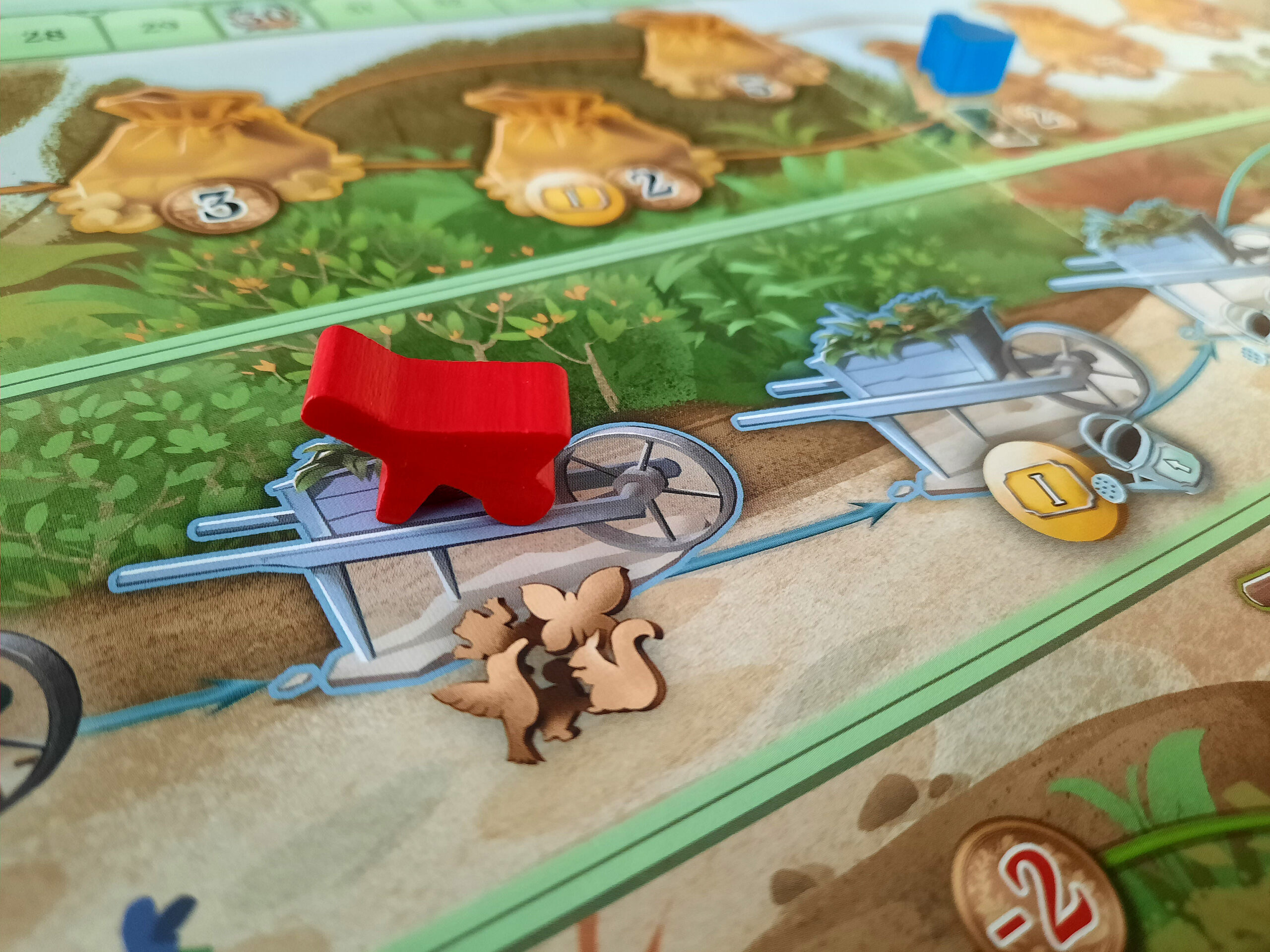 Botanicus: Das Spielmaterial