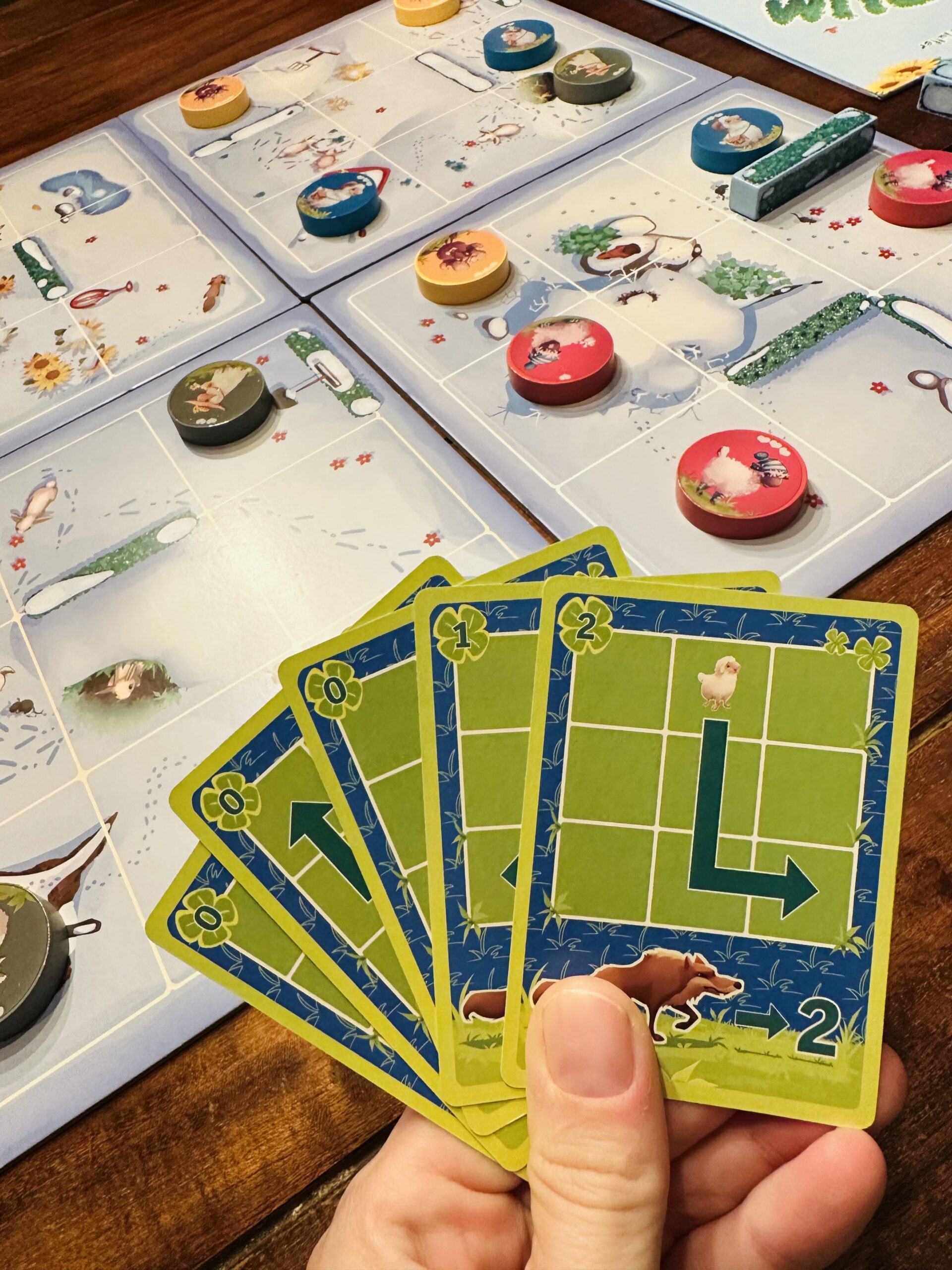 Foto der Zugkarten für die Schafe