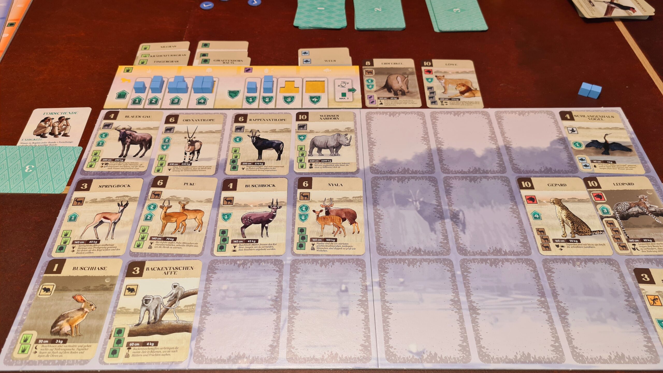 Spieltableau Kavango