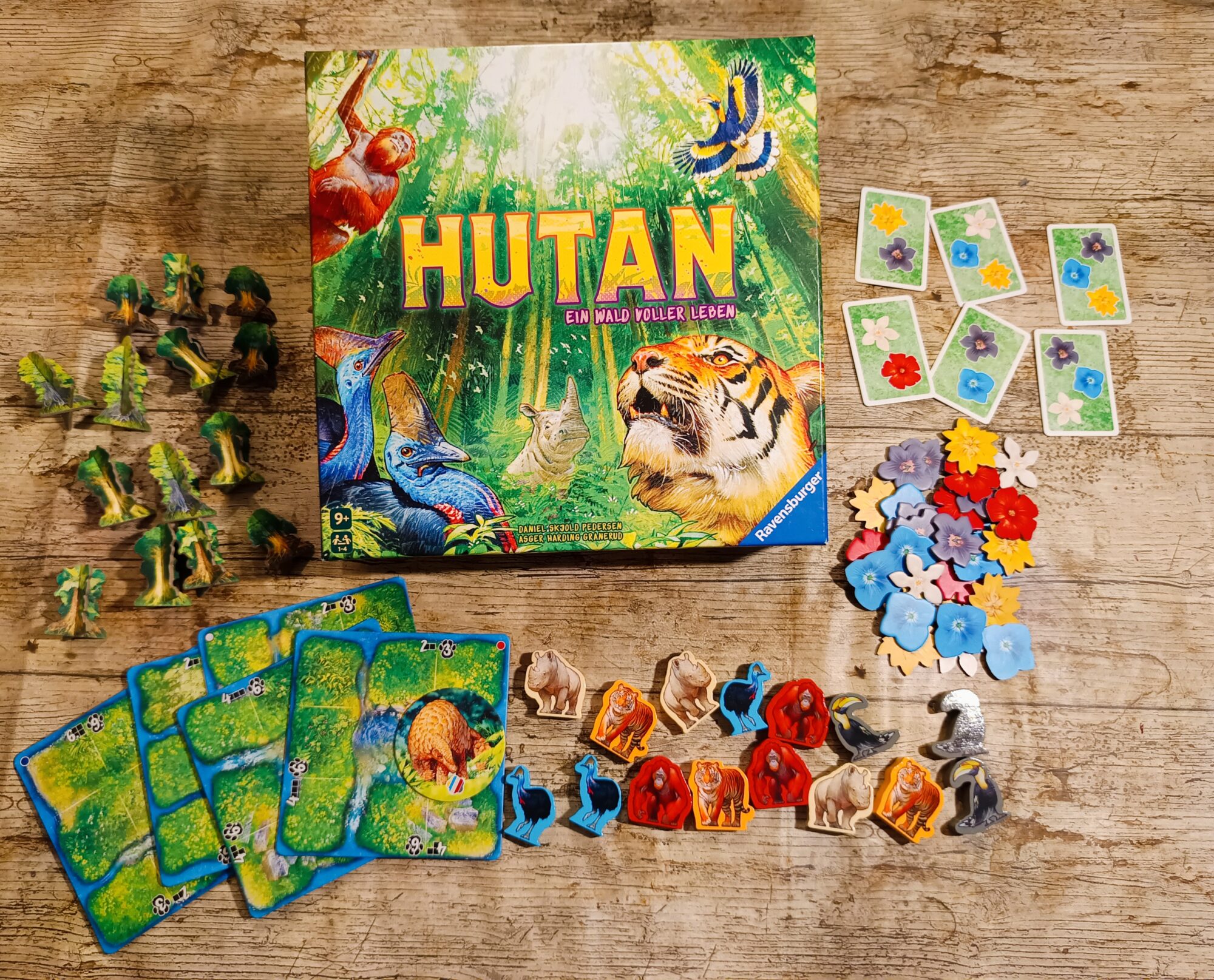 Hutan: Spieleschachtel mit Inahlt.