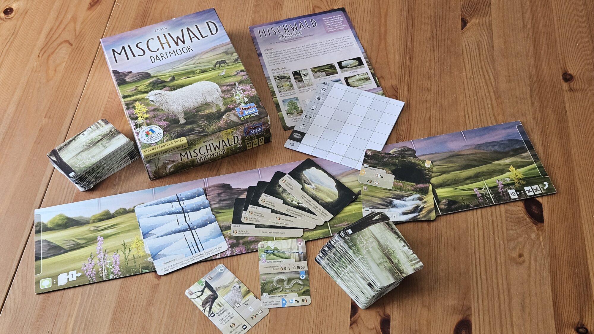 Mischwald Dartmoor: Karton und Spielmaterial