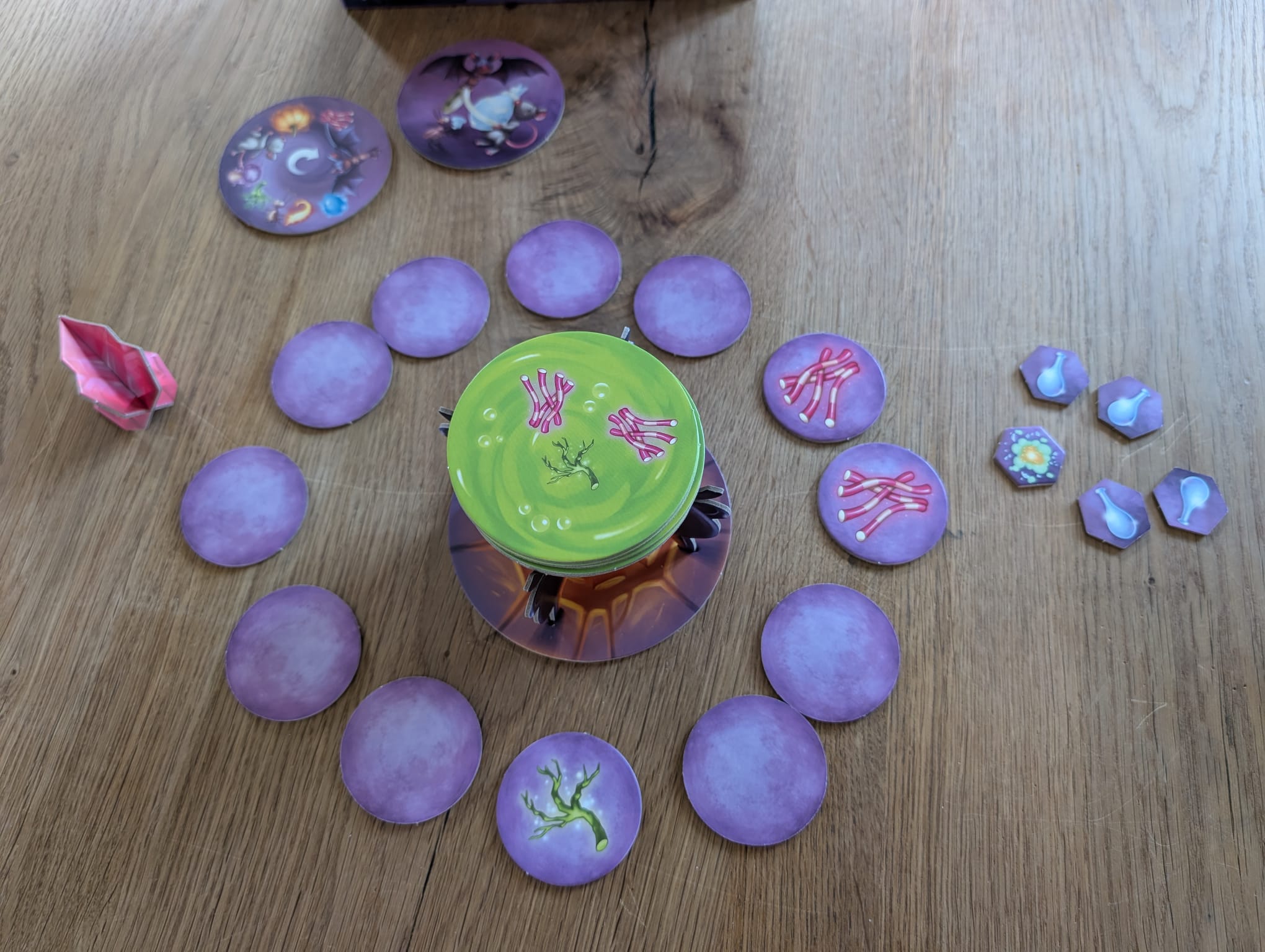 Auf dem Foto ist ein Beispiel des Spielablaufs zu sehen. Der Hexenkessel zeigt drei Zutaten, die benötigt werden. Im Kreis rundherum sind genau diese Zutaten aufgedeckt, also die die Aufgabe geschafft.
